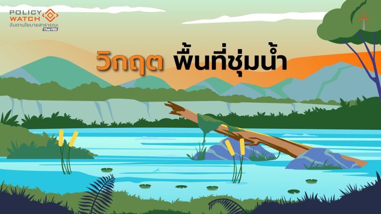 อวสานพื้นที่ชุ่มน้ำ? ”เสื่อมโทรม-บุกรุก“ ลดลงเกือบครึ่ง ไร้กฎหมายควบคุม