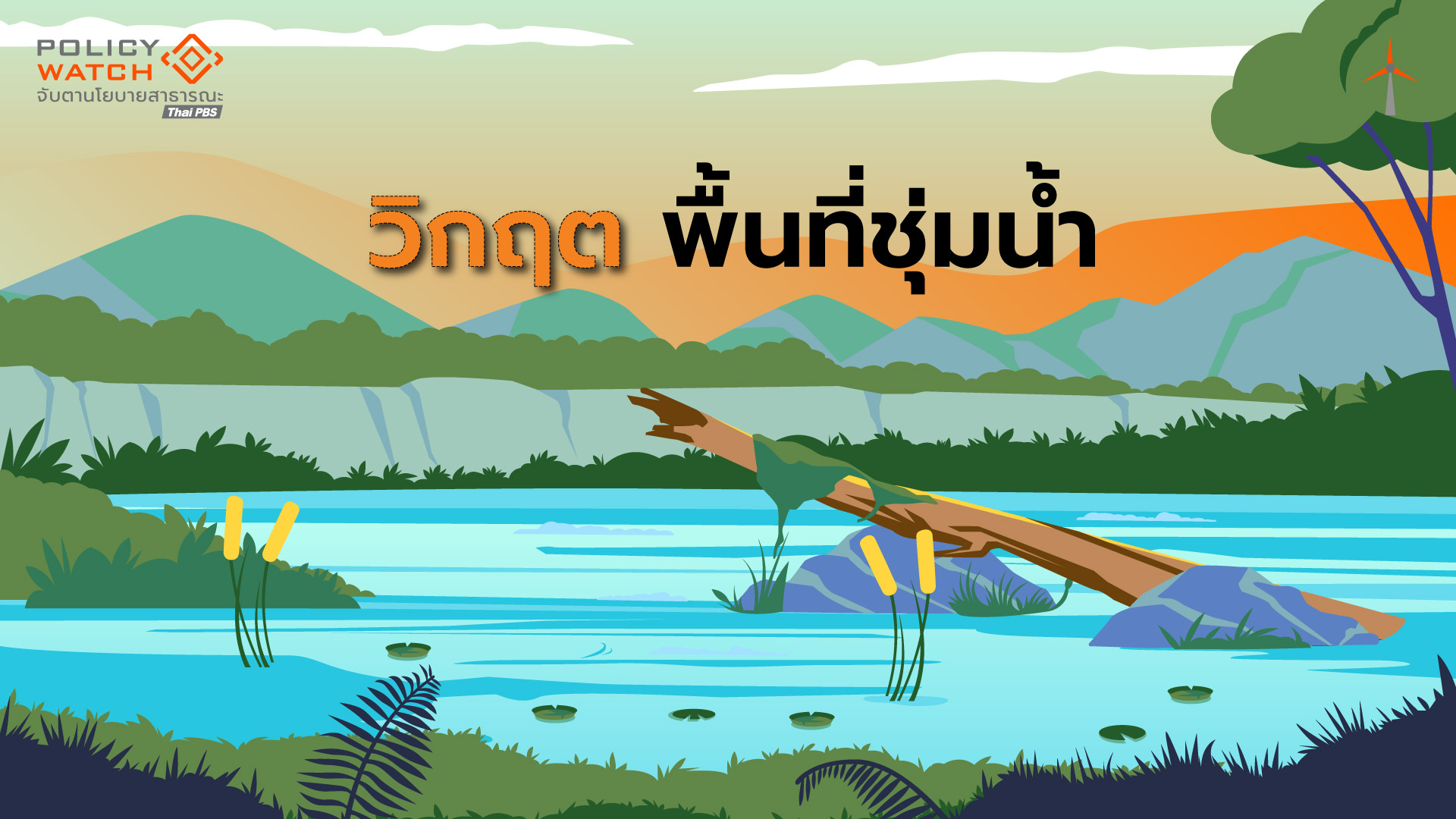 อวสานพื้นที่ชุ่มน้ำ? ”เสื่อมโทรม-บุกรุก“ ลดลงเกือบครึ่ง ไร้กฎหมายควบคุม